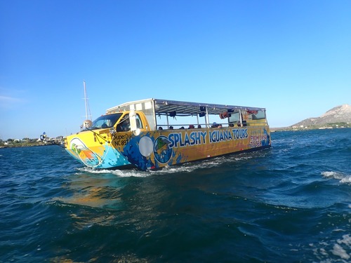 Curacao Amphibious Land and Sea Bus Excursion