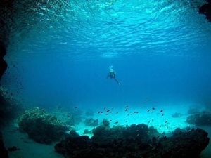 Curacao Beach Hopping and Blue Room Cave Snorkel Excursion