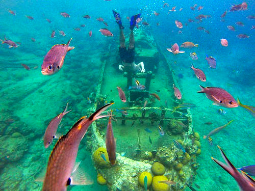 Curacao  Willemstad snorkel Shore Excursion Booking