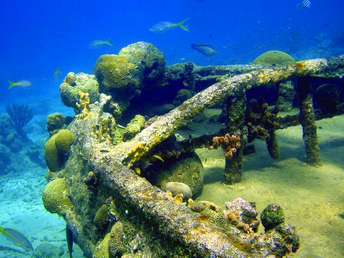 Curacao snorkel Tour Cost