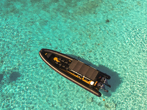 Curacao Coral Reef and Sunken Tugboat Trip Booking