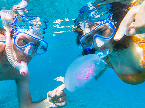 Curacao snorkel Cruise Excursion Tickets