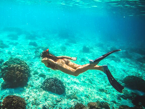 Curacao  Willemstad snorkel Shore Excursion Reviews