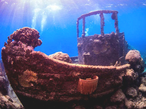 Curacao snorkel Shore Excursion Reviews