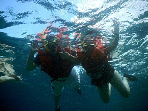 Curacao Willemstad tugboat wreck snorkel Cruise Excursion Prices