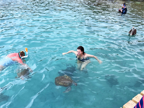Curacao Nature and Wild Side Excursion