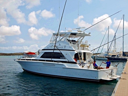 Curacao Willemstad private fishing charter Excursion Tickets