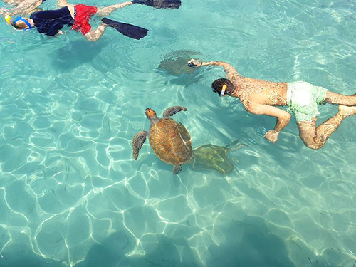 Curacao Snorkel Shore Excursion Booking