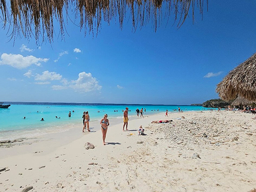 Curacao  Willemstad Turtle Bay Excursion Reservations