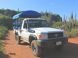 Curacao Turtle Outback, Snorkel and Safari Excursion