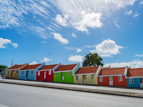 Curacao Willemstad Flamingo Area Sightseeing Tour Tickets