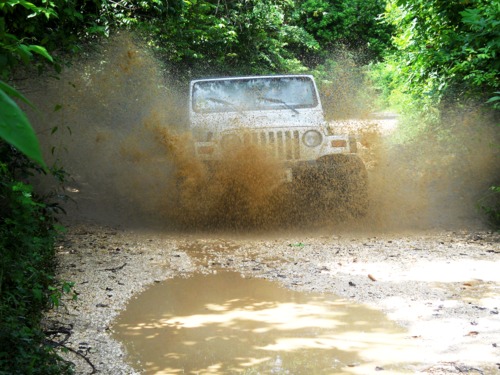 Belize jungle jeep Trip Reviews