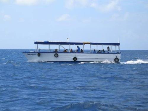 Grand Cayman scuba diving Excursion Reviews