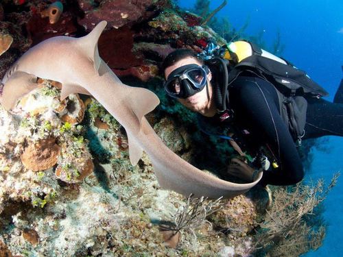 Grand Cayman scuba diving Tour Prices