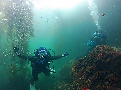 Ensenada colorful marine life Reservations