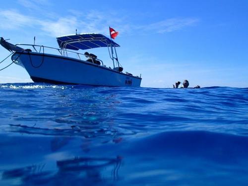Grand Cayman scuba Excursion Cost