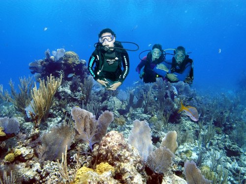Nassau  Bahamas beginners scuba diving Tour