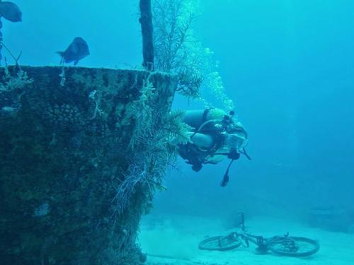 Grand Cayman  Grand Cayman (George Town) Discover SCUBA Dive Tour Booking