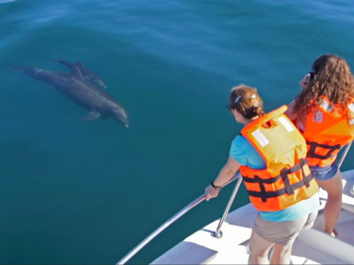 Mazatlan snorkel with dolphin Shore Excursion Reviews
