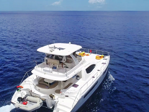 Castries Humpback whale Excursion Booking