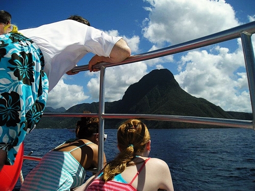 St. Lucia Humpback whale Excursion Prices