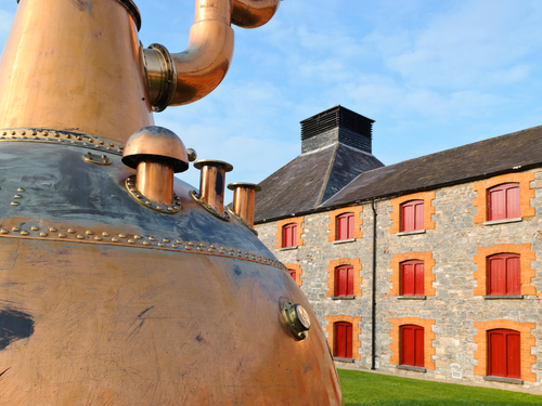 Dublin Ireland Highlights Sightseeing Trip Reservations