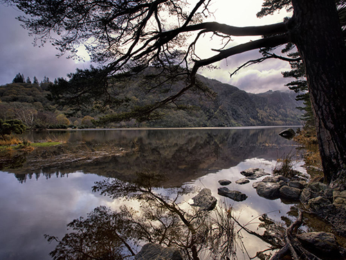 Dublin Lakesides Cruise Excursion Reviews