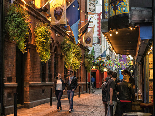 Dublin Ireland Monastic Site Cruise Excursion Tickets