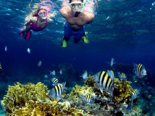 Nassau great underwater photos Prices