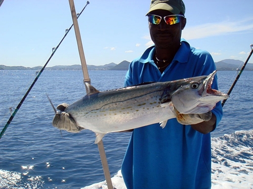 Castries sport fishing Tour Cost