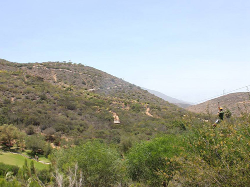 Ensenada canopy Shore Excursion Reviews