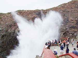 Ensenada Excursions & Ensenada Shore Excursions