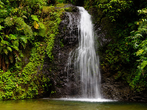 Fort de France  Martinique Sain Pierre Tour Reviews