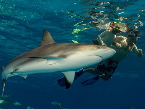 Nassau  Bahamas sunken air plain Cost