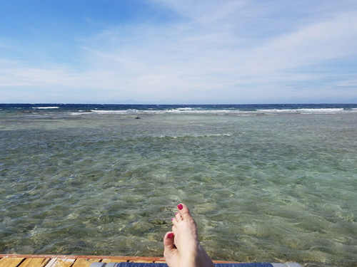 Roatan  Tour Reviews