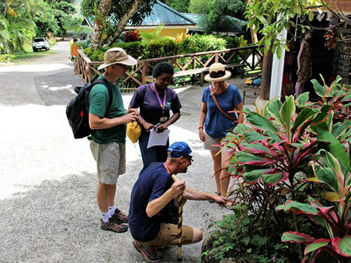 St. Lucia (Castries)  fauna Excursion Reviews