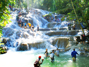 Falmouth Dunn's River Falls Excursion with Cocktails and Lunch at Reggae Hill