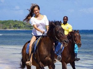 Falmouth Horseback Riding Excursion with Ocean Swim