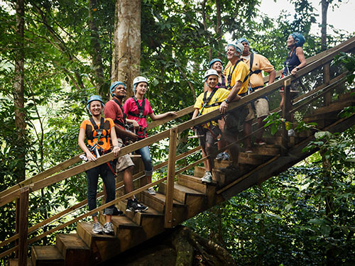 St. Lucia (Castries)  rainforest reserve Tour Booking