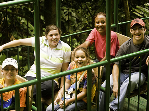 St. Lucia (Castries) rainforest Cruise Excursion Prices