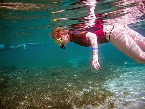 Roatan canopy and snorkel Tour Prices