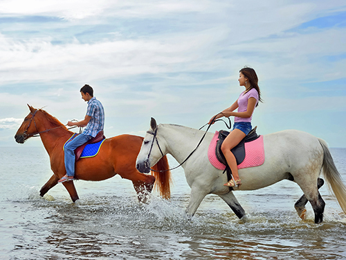 Roatan parrot tree Trip Booking