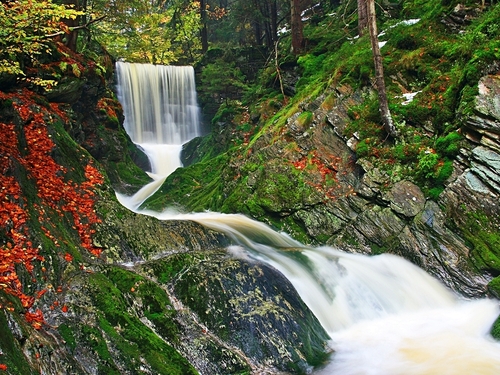 Ocho Rios  Jamaica waterfalls Excursion Cost