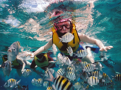 Roatan  Honduras coral reef Tour Tickets