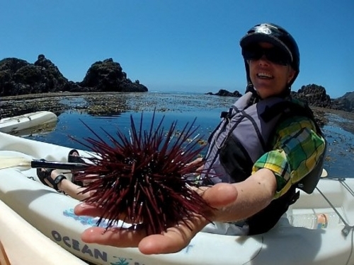 Ensenada scenic ride to the site Tour