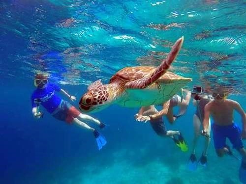 Bonaire sail and snorkel Excursion Cost