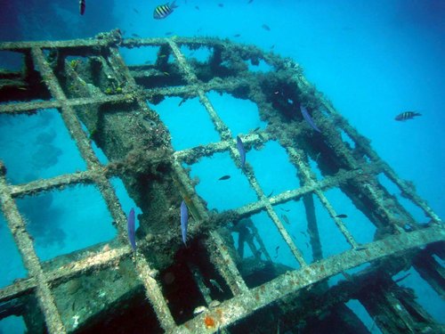Barbados Jolly Roger Pirate Boat Tour Cost