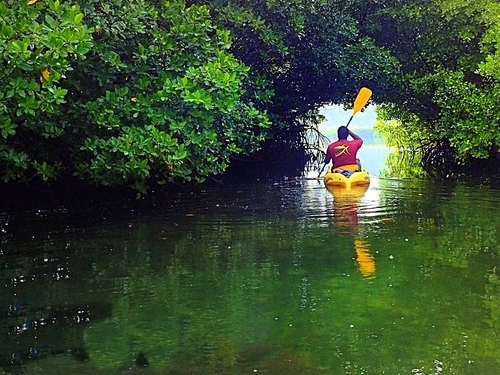 Charlotte Amalie snorkel  Shore Excursion Reviews