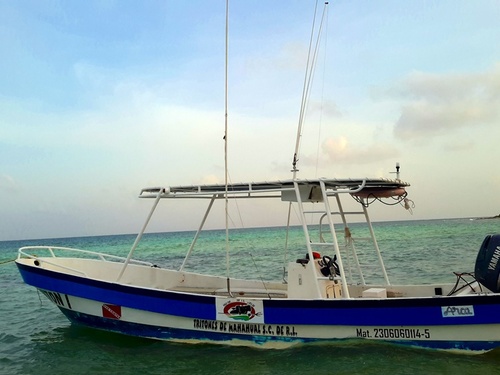Costa Maya Mexico sport fishing  Shore Excursion Prices
