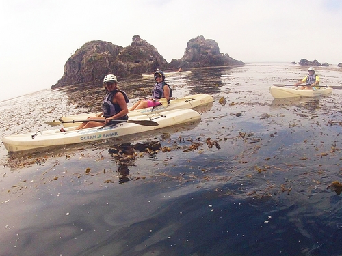 Ensenada scenic ride to the site Trip